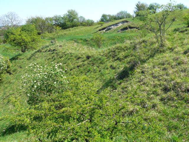 P1490537